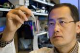 Японские учёные создали клетки, убивающие рак