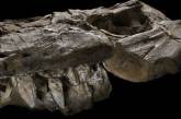 В Неваде нашли останки самого древнего хищного ихтиозавра