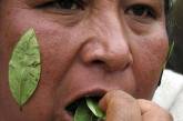 В Боливии разрешили употреблять листья коки в ритуальных целях