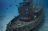 Удивительные подводные снимки от Алекса Доусона. ФОТО