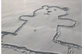 Канадцев озадачил рисунок медведя, оставленный на снегу. ФОТО