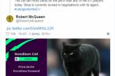 Кот, вмешавшийся в ход футбольного матча, стал звездой мемов