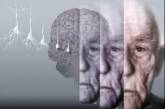 Изобретена вакцина против болезни Альцгеймера