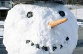 Шотландскую семью арестовали за лепку снеговика