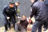 В китайском зоопарке посетитель напал на страуса и искусал его до смерти 