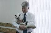 Екатеринбургский кот-политик провел встречу с мэром 