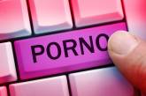 PornHub в День влюбленных подарил всем пользователям доступ к премиум-видео на неделю