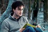 Дэниел Рэдклифф поделился своим мнением о судьбе Гарри Поттера. ФОТО