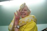 70-летняя британка стала «повелительницей змей». ФОТО