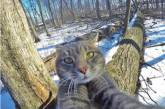 Этот кот покорил Instagram своими селфи. ФОТО