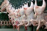 Евросоюз всё же разрешил Украине поставлять продукцию птицеводства в страны ЕС