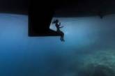 Подводный мир: лучшие работы Underwater Photographer 2019. ФОТО