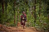 Как живется в Непале племени собирателей. ФОТО