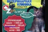 В Крыму объявили о кастрации бездомных. ФОТО