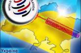  Украина обвиняет США в нарушении правил ВТО 