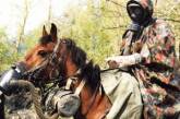 Россия решила ликвидировать противогазы для лошадей
