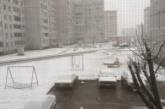 В разных регионах Украины прошли обильные снегопады. Видео