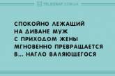 В предвкушении выходных: десятка анекдотов для отличного настроения. ФОТО