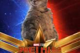 Кот из «Капитана Марвела» стал звездой новых мемов. ФОТО