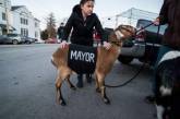 В американском городке козла выбрали почетным мэром. ФОТО