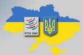 Украина может получить санкции от ВТО 