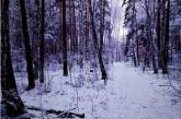 Киевляне делятся зрелищными снимками снежного марта. ФОТО