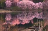 Красота японской природы на снимках Макико Самедзима. ФОТО