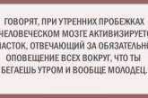 Смешные открытки для тех, кто знает толк в похудении. ФОТО