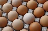 Яйца перед Пасхой подорожают на 20%