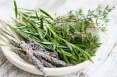 Названы травы, помогающие при расстройствах пищеварения