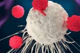 Найден способ заставить раковые клетки убивать самих себя