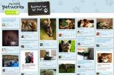 В Великобритании создали социальную сеть для домашних животных 