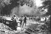 Женщины-дровосеки на лесопильных заводах во время Второй мировой войны. ФОТО