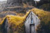 Леса Норвегии в ярких снимках. ФОТО
