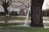 Чудо природы: в Черногории из дерева начал бить фонтан. ФОТО