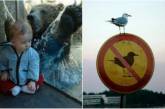 Фотки весельчаков, обожающих нарушать правила. ФОТО
