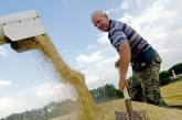 Пшеницу из Украины будут вывозить без ограничений 