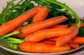 Диетолог рассказала о малоизвестных свойствах моркови