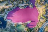 Розовое озеро в Австралии в ярких снимках. ФОТО
