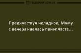 Свежие анекдоты о суеверных людях и анонимных алкоголиках. ФОТО