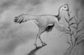 Ученые нашли новый вид пернатых динозавров