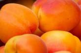Названы основные полезные свойства абрикоса