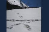 В Гималаях отыскали следы «снежного человека». ФОТО
