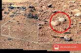 На Марсе нашли белочку 