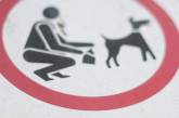 В Испании придумали рассылать экскременты собак их хозяевам 