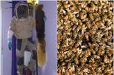 В Испании семейная пара случайно узнала, что два года прожила с роем пчел в стене. ФОТО