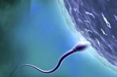12% женщин могут погибнуть от спермы