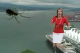 Попавший в кадр паук напугал канадскую телеведущую 