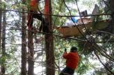 В США испытатель летающего стула застрял на дереве