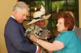 В Австралии похитили знакомую с принцем Чарльзом коалу 